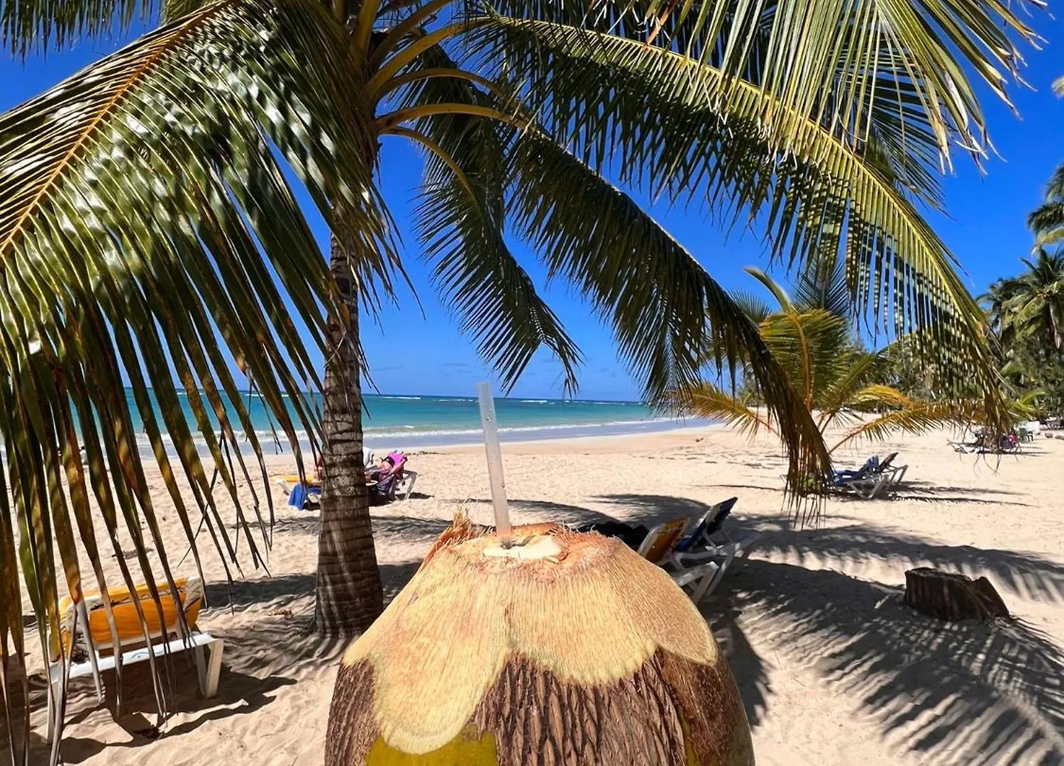 فيلا Casa Cerca De La Playa Centrico لاس تاريناس بيت للعطل